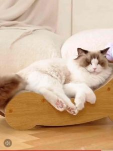 Kittbits Ready Stock 62cm Sisal Ball scratch Bed  play  rest  sleep  cat scratcher Papan Calar Kucing