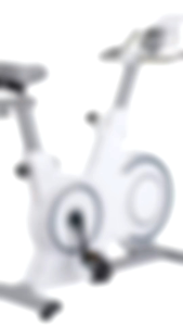 Vector Spinning Bike L003 10kg stationary bike