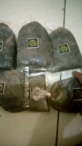 Umpan Galatama  Lele Olahan Magot Lapindo Glosir Dan eceran  Berat 300gram