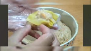 Dimsum isi 20 dan 50