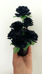 กระถางดอกไม้สีดำ ขายแพ็คคู่ (มี 2 กระถาง) ดอกไม้กระถาง ราคาประหยัด ดอกไม้งานขาว-ดำ