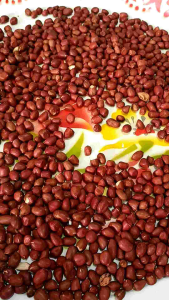 ถั่วลืสงดิบถั่วดินพันธ์สข38เปลือกแดงใช้ปรุงอาหารหรือทำพันธ์