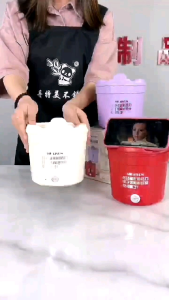 Instant Noodle Cooker Multifunction Electric Cooking Pot Mee Sup Steamboat Appetizer Pot 多功能电煮锅