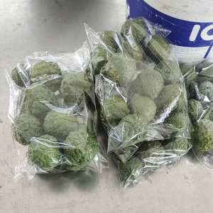 Buah Limau Purut / Kaffir Lime Fruit (Buah Segar dari Kebun) 1kg/500gram