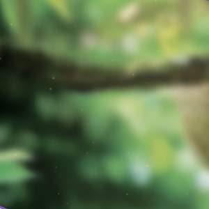 ฟราวเวอร์แม็กซ์ 1ลิตร เปิดตาดอก ดอกดก กระตุ้นการติดดอกทั่วแปลง เปลี่ยนตาใบเป็นตาดอกได้อย่างดีเยี่ยม