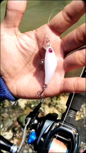 LURE CASTING HAMPALA MINNOW GLUESTICK KILLER
