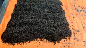 Máy ép phân trùn quế phân hữu cơ.....S170S220.....dành cho các hộ gia đình các nông trại trồng Lantrồng cây cảnhtrồng hoa màu......