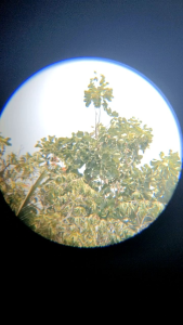 กล้องส่องทางไกลจิ๋ว 8*20 วัสดุสแตนเลส P-005