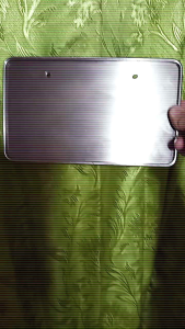 Stainless Steel Back Plate Protection Matibay Makapal for Original Plate (Motorcycle) Lifetime PROTECTOR