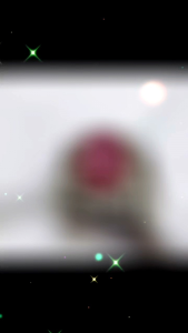 Cincin Perhiasan Batu Mulia: Cincin Ruby Mozambik