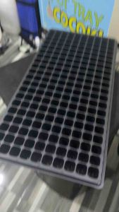 Grosir Pottray Alat Semai Isi 10 Pcs Super Mantap