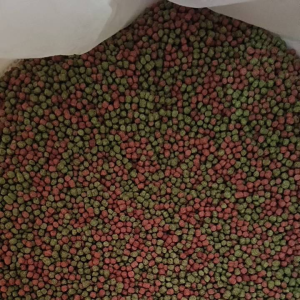 อาหารปลาสวยงามทุกสายพันธุ์ เม็ด2 สี 2color All Aquarium Fish Food