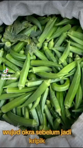 Sayur Okra Hijau Segar 1 kg