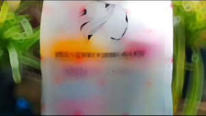 Ines Skincare Glow Expres Terbaru Paket Lengkap 4 Pcs Original