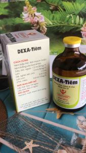 DEXA TIÊM hanvet (100ml) kháng viêm chống dị ứng chống phù nề
