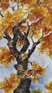 ภาพวาดวิวธรรมชาติ ภาพวาดทิวทัศน์ ภาพต้นไม้ ภาพวาดสีน้ำ ขนาดA3/29.7x42 cm กระดาษร้อยปอนด์ นำไปใส่กรอบได้ แข็งแรงสวยงาม