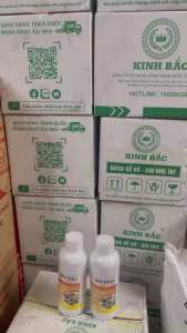 Combo 2 chai Chế phẩm diệt côn trùng BESTKILL Chai 1L Công nghệ Liên Bang Đức