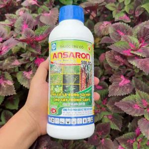 Ansaron 500SC - trừ cỏ lá rộnglá hẹp cho cây trồng cạn