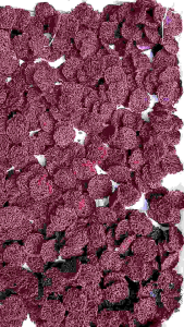 Kerupuk Rengginingg tepung beras