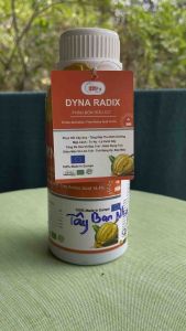 Phân bón hữu cơ Dyna radix ( chai 500ml ) phục hồi cây suy tăng hấp thu dinh dưỡng...