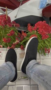 Giày lười vãi nam cao cấp phom đẹp họa tiết kẻ sọc mẫu mới nhất hiện nay mã LV14