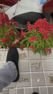 Giày lười vãi nam đẹp đế cao su mềmmã LV16 màu xám đen mẫu mới nhất hiện nay