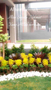 Jasa Pembuatan Taman Minimalis