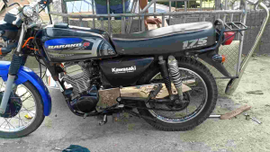 Barako Kawasaki chicken pipe (Malaki butas) stainless version 1 and 2