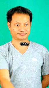 Keo bẫy côn trùng siêu dính (combo 20  miếng)