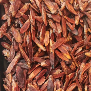 100gr Herbal Zhi Qi Zhi Huang Qi 炙黄芪 Radix Astragali Preparata Astragalus Propinquus