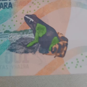 Madagascar 100 ariary (UNC) Banknote/马达加斯加 (全新保真)100纸钞