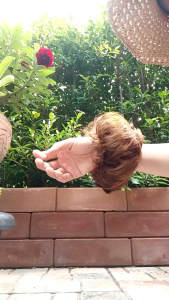 แฮร์พีชดังโงะ แบบยางวง มี 4 สี