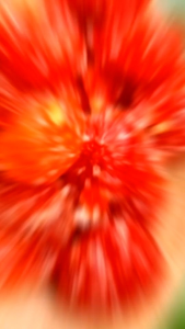 มะเขือเทศอบแห้ง 3 รส ขนาด 200กรัม/500 กรัม