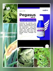 INSEKTISIDA PEGASUS 50 SC