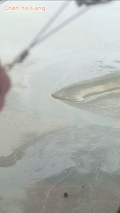 Genshin Impact Sangonomiya Kokomi Cat paw Keychain