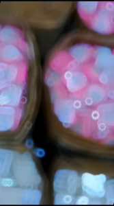 Sabun Susu Collagen Melembabkan Kulit & Penghilang Bekas Luka & Koreng