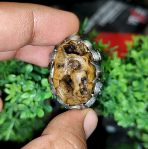 akik jamal combong sakral angker