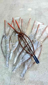 คีมคีบหางหนู