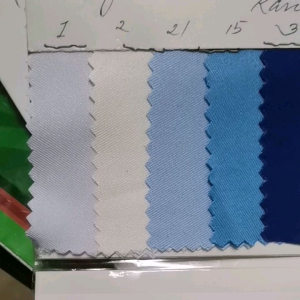 Sold Per Yard Kanebo Peach Twill by cut retail price
