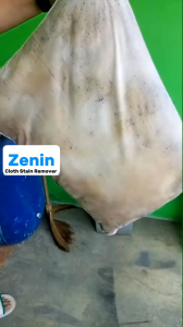 ZENIN CLOTH STAIN REMOVER Pembersih Ampuh Untuk Noda Pakaian Yang sulit di hilangkan