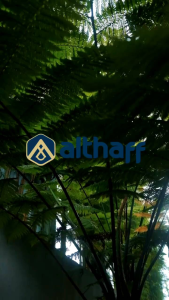 (ALTHAFF AHNAF SERIES) Koko couple ayah dan anak /Kurta Couple Ayah anak terbaru