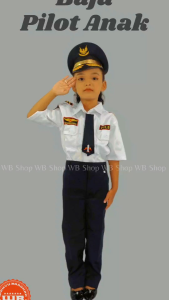 Baju Profesi Anak Pilot Cocok Untuk Karnaval