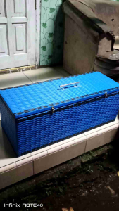 kisa merpati 2 pasang ukuran 30x30x80