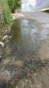 Sku232- Bột tẩy rong nền gạch nền xi măng tường trần nhà cần thiết cho mùa mưa