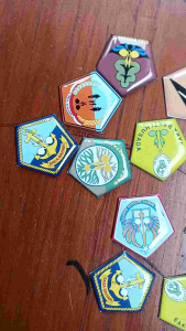 Pin Bros Saka Bakti Husada Lapis Resin / Pin Aksesoris Saka Pramuka