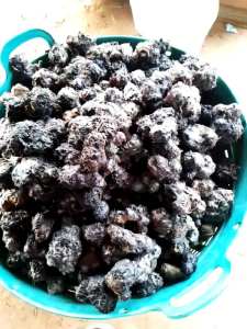 เหง้าบัวแดงกินสาย 9กิโลกรัม แถมฟรี 1กิโลกรัม