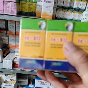Chai Fe + B12 (20ml ) bổ sung sắt và vitamin b12 dùng tiêm 1 lần cho thú cưng Sản Phẩm Dinh Dưỡng Tự Nhiên Cho Thú Cưng Thực Phẩm Bổ Sung Sức Khỏe Cho Vật Nuôi - Lazada