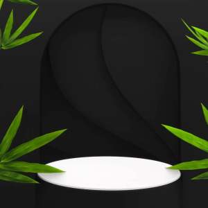 Kojic Soap with Snail Slime