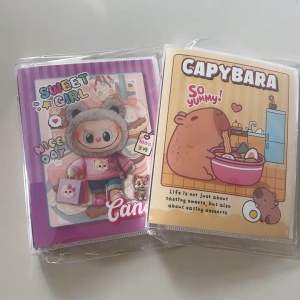 Map Binder Kartun Capybara Sanrio A5 Ring Besi SF-1929