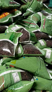 Permata Baru Benih Kangkung Super Murah 1Kg Daun Sedang